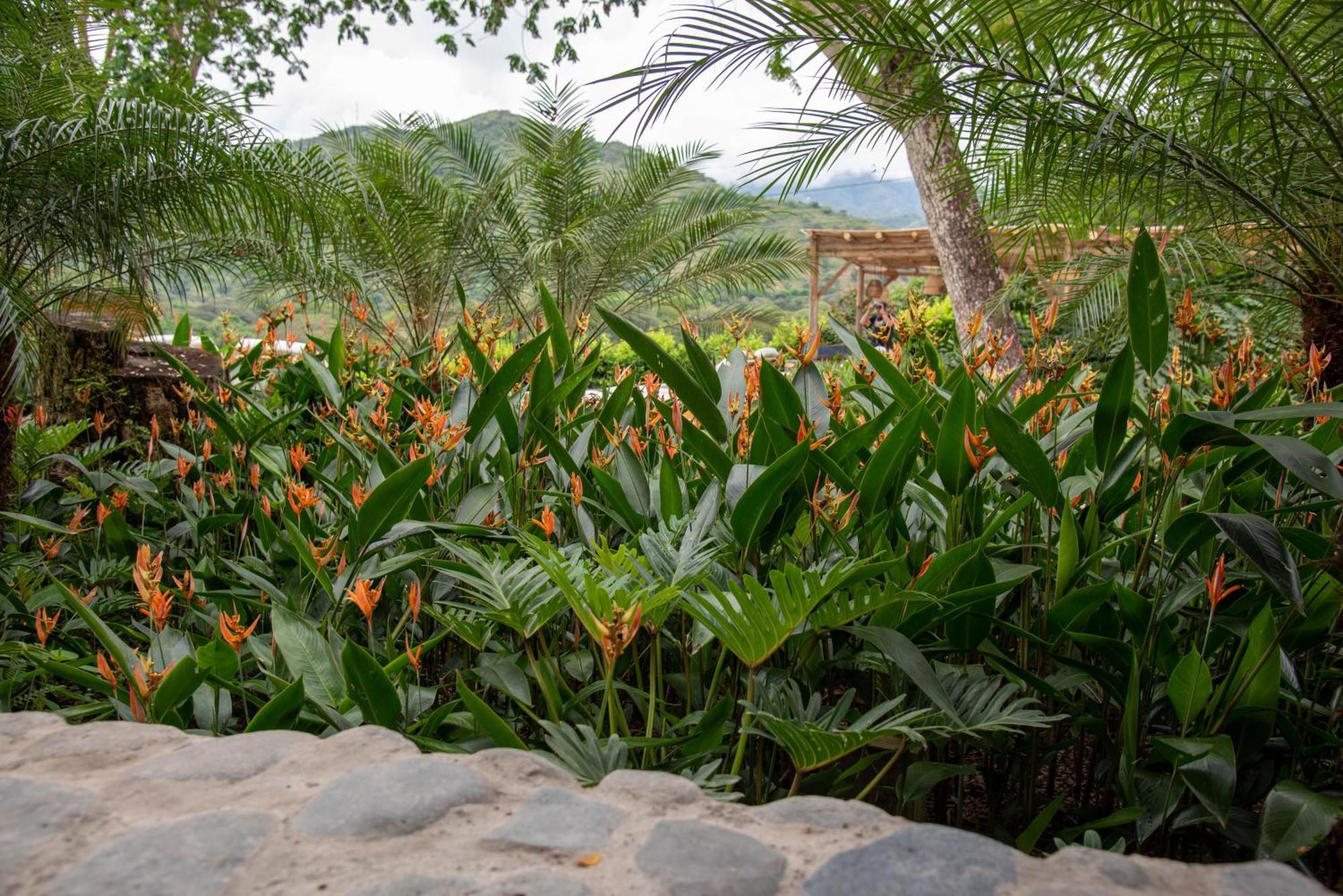 Nativa Refugio Escondido Hotel Santa Fe de Antioquia Luaran gambar
